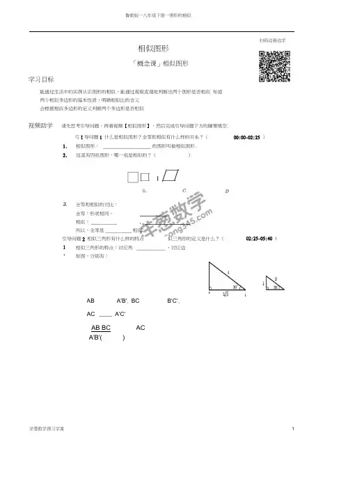 鲁教版数学八年级下册《图形的相似》学案