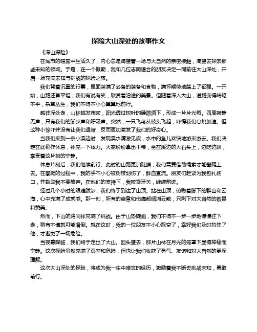 探险大山深处的故事作文