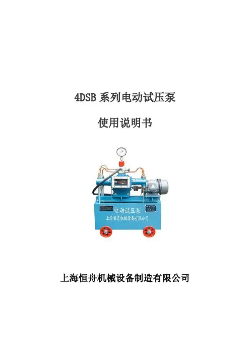 4DSB系列打压泵使用说明书