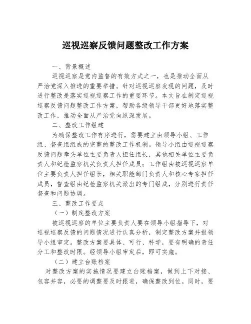 巡视巡察反馈问题整改工作方案