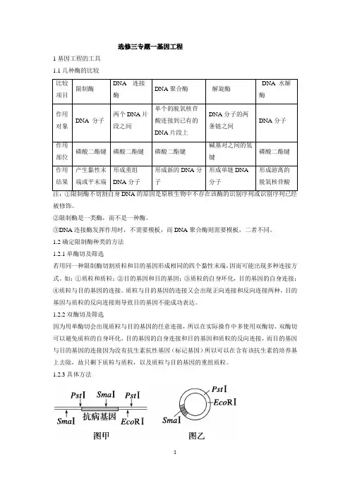 基因工程知识总结 好