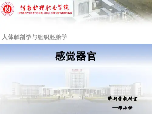 解剖生理之感觉器