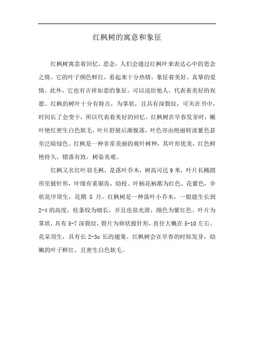 红枫树的寓意和象征