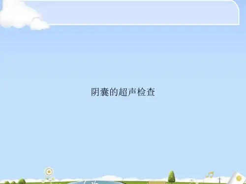 阴囊的超声检查