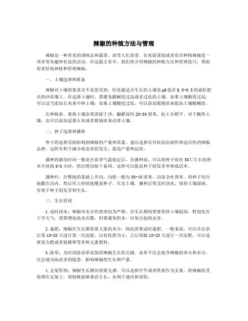 辣椒的种植方法与管理
