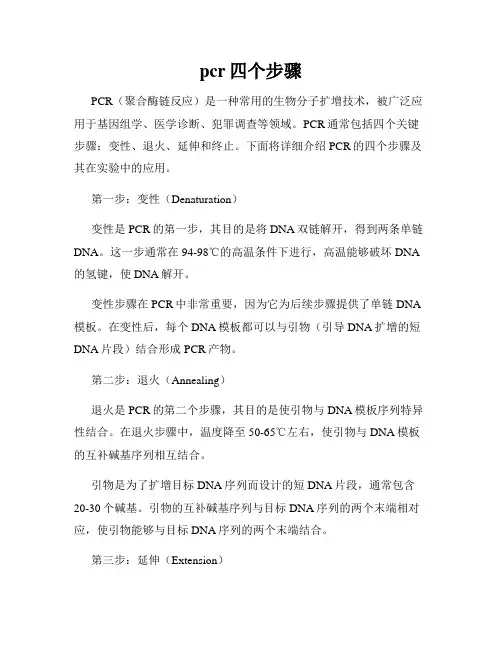 pcr四个步骤