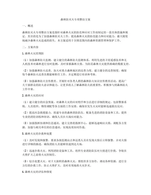 森林防灭火专项整治方案