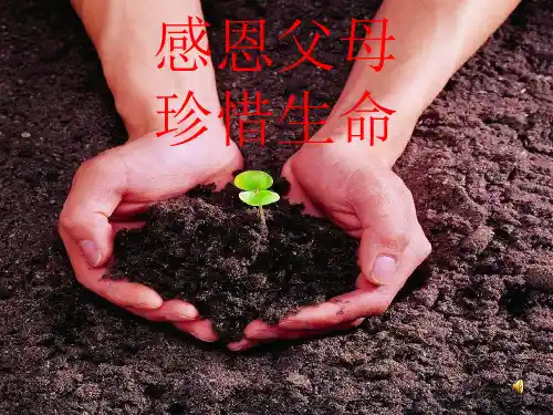 感恩父母 珍爱生命