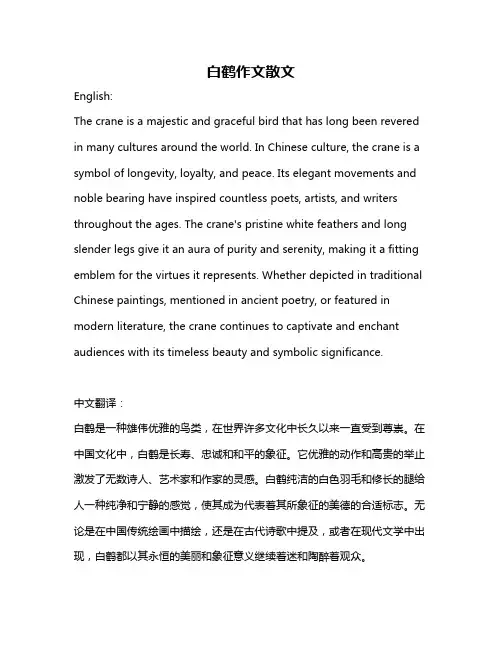 白鹤作文散文