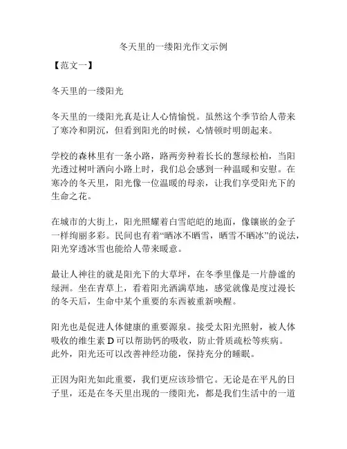 冬天里的一缕阳光作文示例