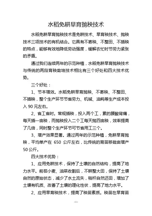 水稻免耕旱育抛秧技术