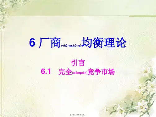 完全竞争市场中的厂商均衡概述(ppt版)