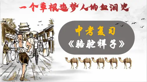 《骆驼祥子》：一个草根追梦人的血泪史(上)2023年中考语文名著复习