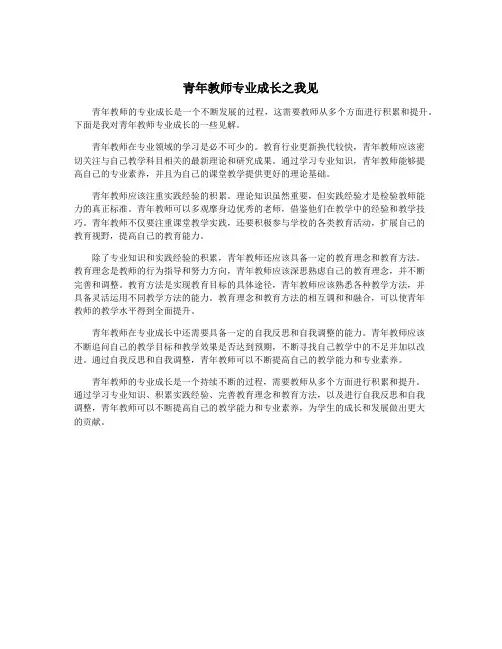 青年教师专业成长之我见