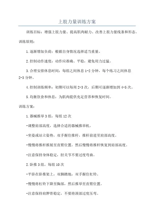 上肢力量训练方案