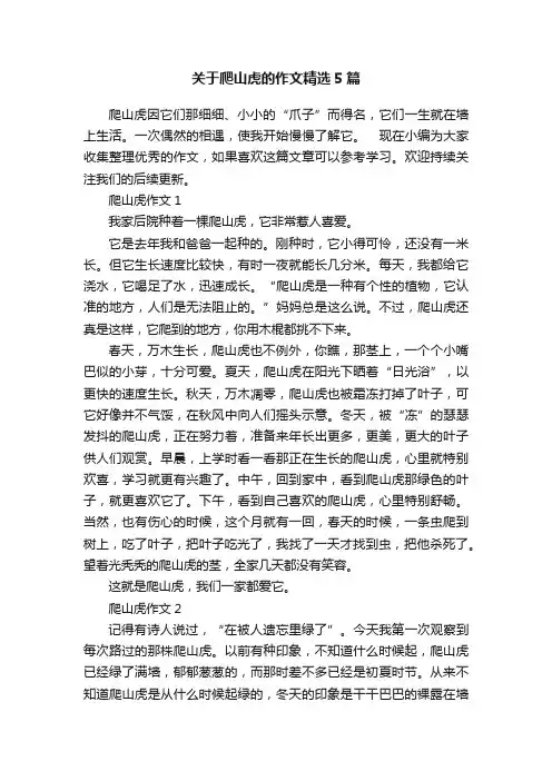 关于爬山虎的作文精选5篇