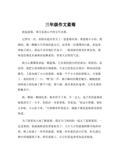 三年级作文蓝莓