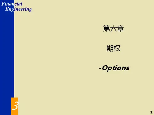 期权PPT课件