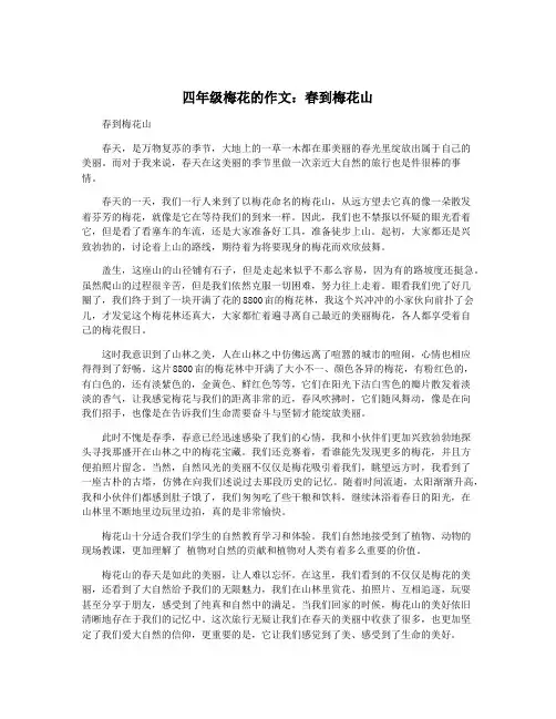 四年级梅花的作文：春到梅花山