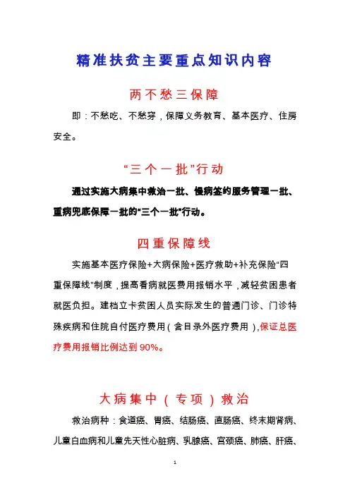 精准扶贫主要重点知识内容