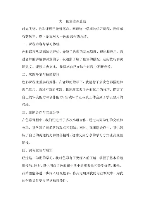 大一色彩结课总结