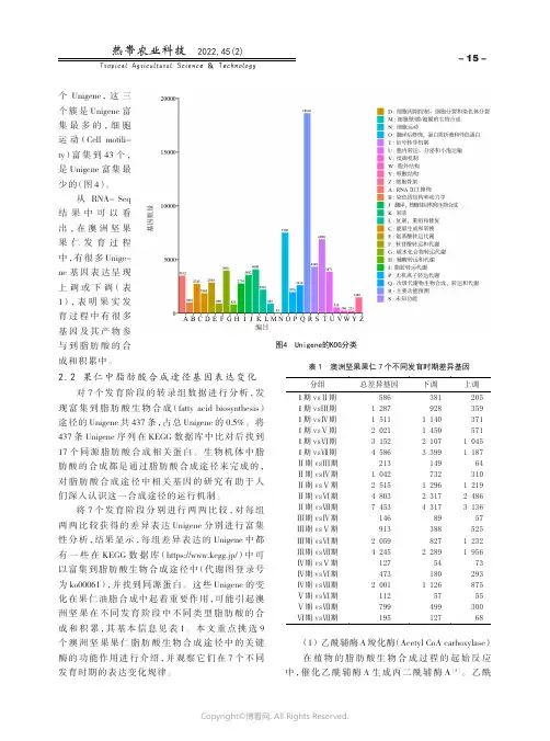 西双版纳10个菠萝品种的品质分析