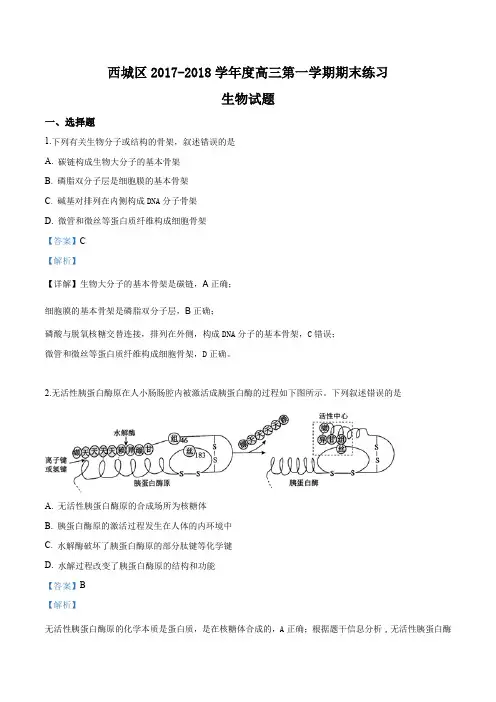 西城区2017-2018学年度高三第一学期期末练习生物试题(解析版)