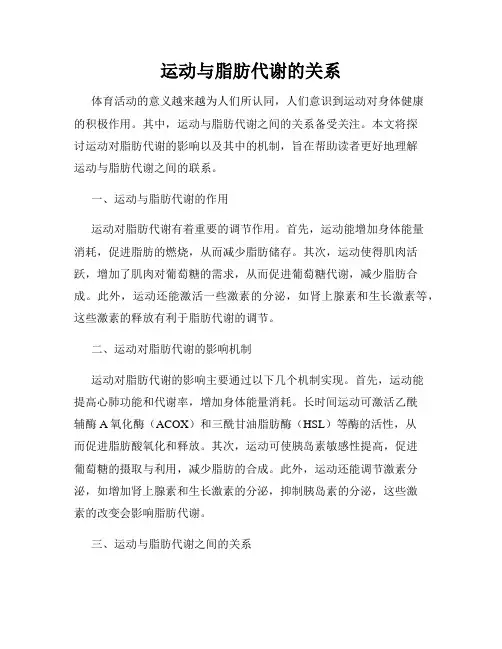 运动与脂肪代谢的关系
