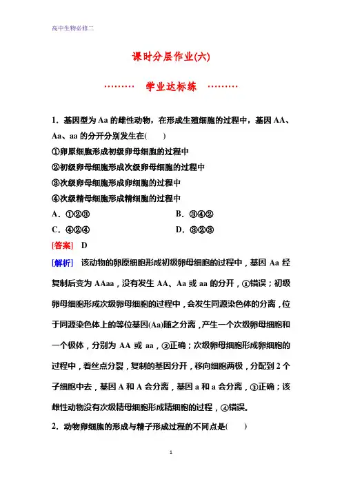 人教版生物必修二同步作业6 卵细胞的形成过程、减数分裂中遗传物质的数目变化 含解析