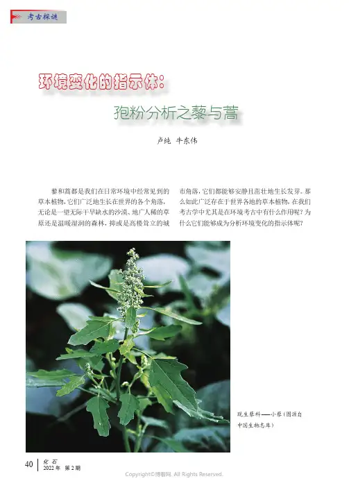 环境变化的指示体：孢粉分析之藜与蒿