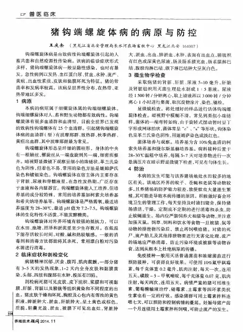 猪钩端螺旋体病的病原与防控