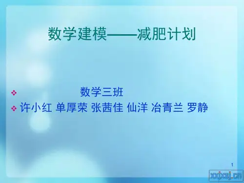 数学建模——减肥计划(修改版)-PPT