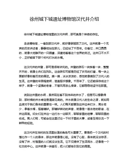 徐州城下城遗址博物馆汉代井介绍