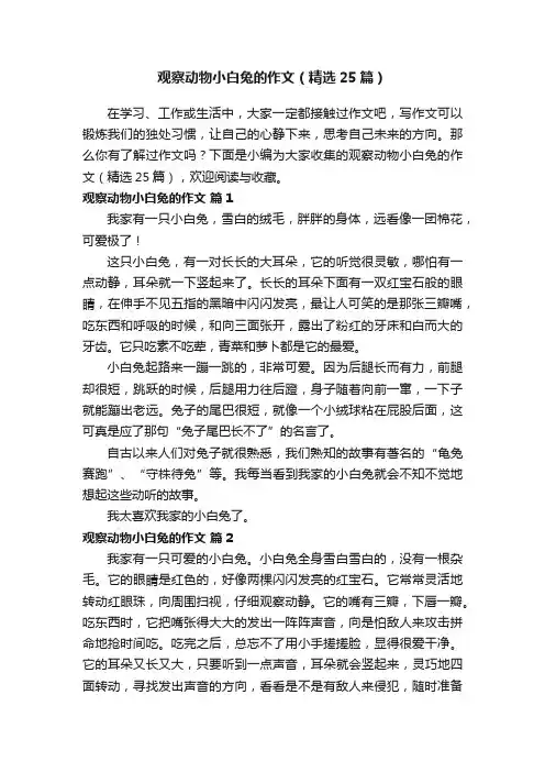 观察动物小白兔的作文（精选25篇）