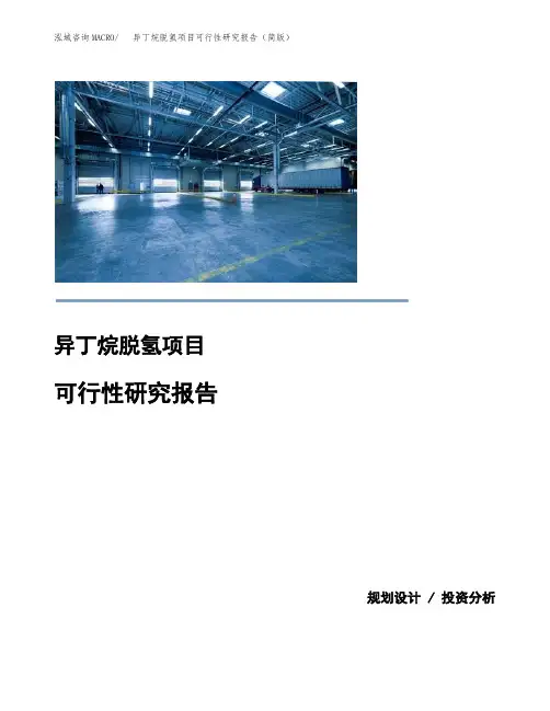 异丁烷脱氢项目可行性研究报告(简版)