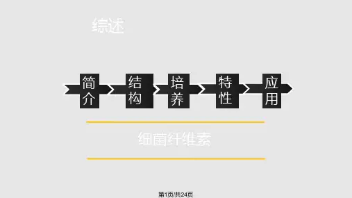 细菌纤维素PPT课件