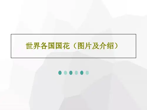 世界各国国花(图片及介绍)PPT35页