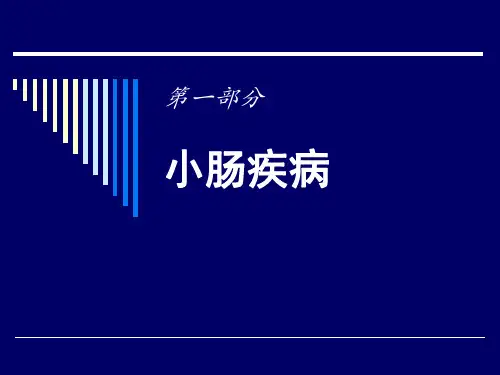 小肠及结肠疾病PPT课件