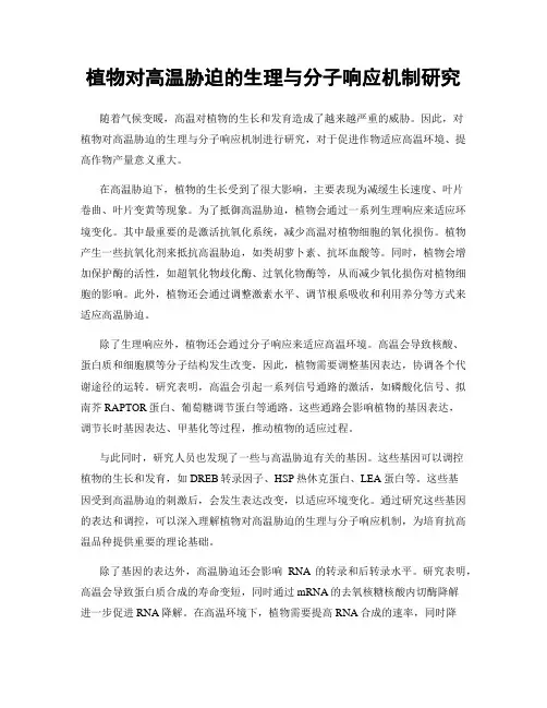 植物对高温胁迫的生理与分子响应机制研究