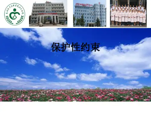 保护性约束ppt课件