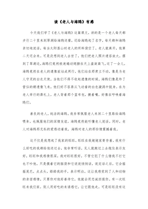 读《老人与海鸥》有感(三篇)