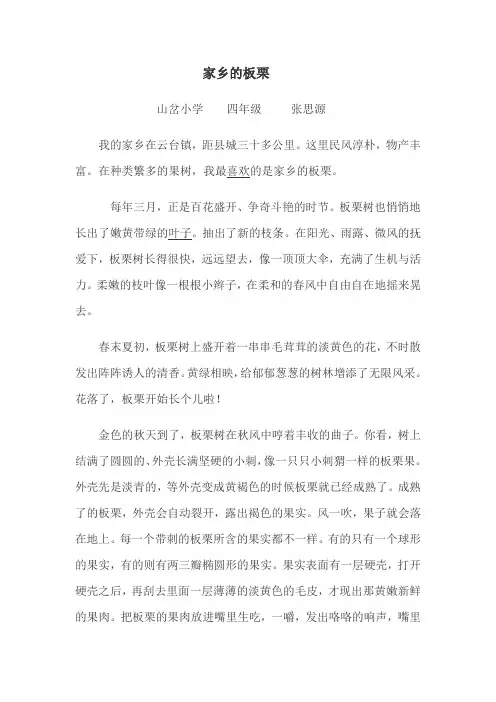家乡的板栗