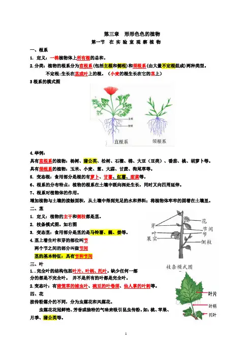 冀教版生物七年级上册第三章知识点总结