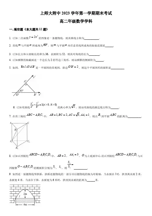 2024年上海师范大学附属中学高二上学期期末考试数学试卷含详解