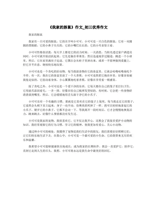 《我家的豚鼠》作文_初三优秀作文
