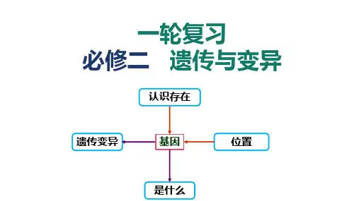高三生物一轮复习课件第20讲基因突变和基因重组
