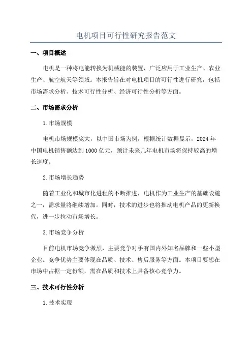电机项目可行性研究报告范文
