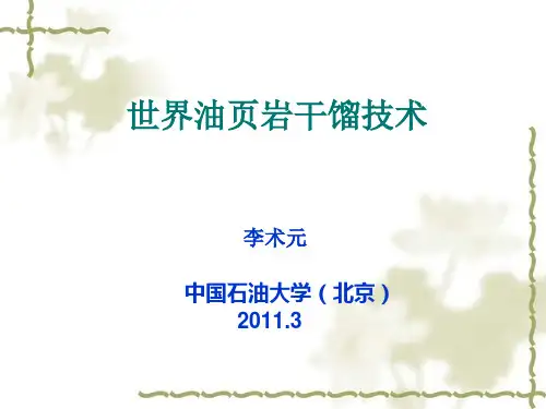 世界油页岩干馏技术2011