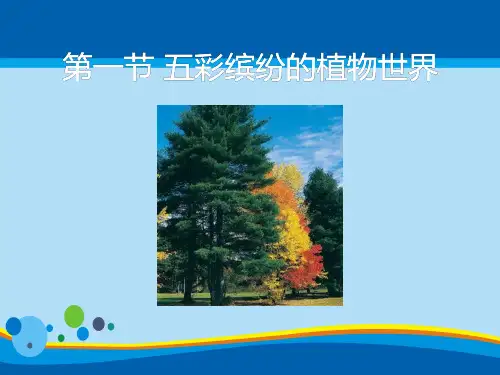 《五彩缤纷的植物世界》PPT课件【精选推荐课件】