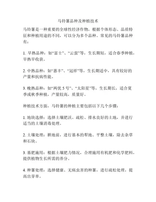 马铃薯品种及种植技术